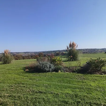 Le Basque, Le Palmier Exotique Bed & Breakfast