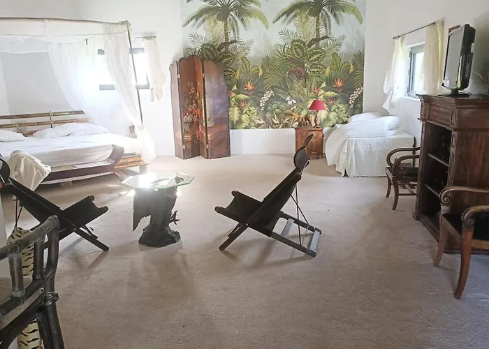 فندق مبيت وإفطار Le Basque, Le Palmier Exotique *